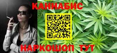 сатива Будённовск