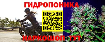 MESCALINE Гусь-Хрустальный