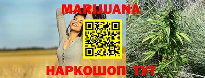 сатива Будённовск