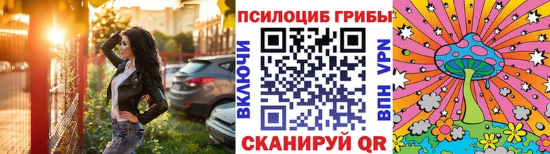 даркнет сайт  Волгоград  OMG как войти  Псилоцибиновые грибы ЛСД 