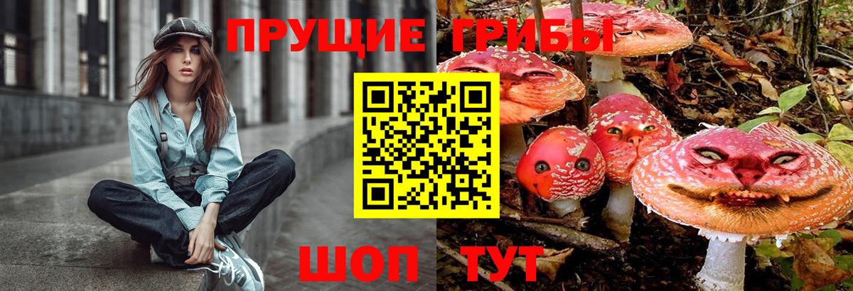 Псилоцибиновые грибы Cubensis  Галлюциногенные грибы Psilocybe  Вход с VPN  Волгоград 