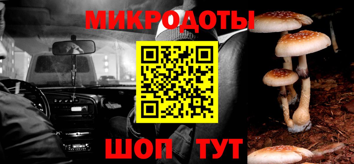 Псилоцибиновые грибы Cubensis Волгоград